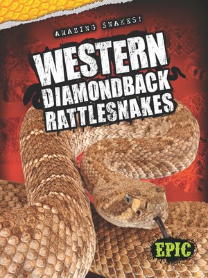 cover image of Western Diamondback Rattlesnakes